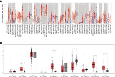 Pan-cancer analysis of the prognostic and immunological role of GJB2: a potential target for survival and immunotherapy